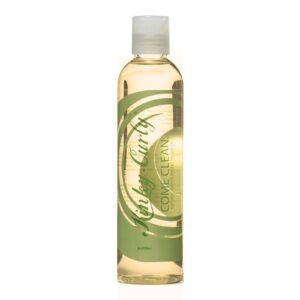 Kinky-Curly Come Clean Shampoo 8 oz